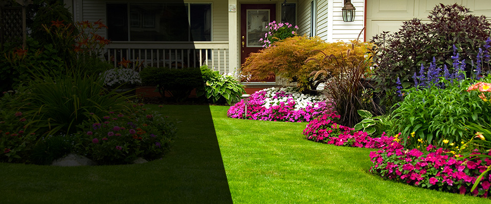 Easton Landscapers