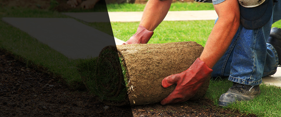 Easton Landscapers